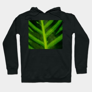 Green Leaf Hoodie